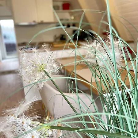 Schwedenhaus Vakantiehuis *