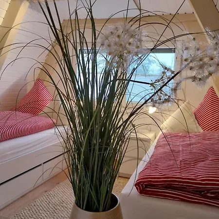 Schwedenhaus Vakantiehuis Butjadingen