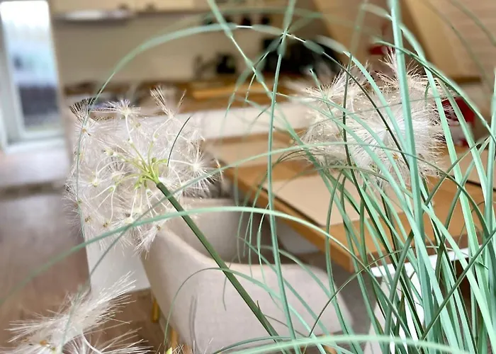 Schwedenhaus Nyaraló *